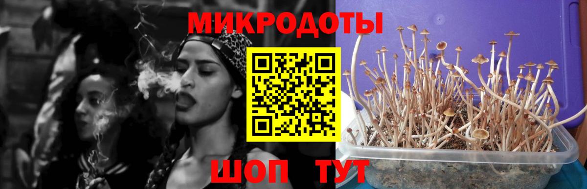 Отрадное  Псилоцибиновые грибы Psilocybe  Вход с VPN  Псилоцибиновые грибы мухоморы 